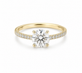 Eterna Eleganza